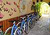 Puerto Morelos Apartment rental - Exterior Photo - A2 free bikes