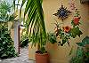 Abbey del Sol Two - Apt #5