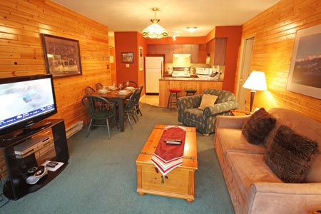 Lodge Style Living Room