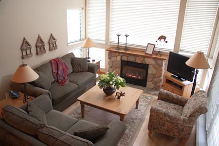 Living Room Area