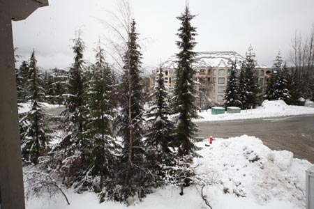 View from Balcony
