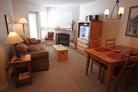 Dining / Living Room