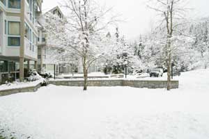 View from Patio