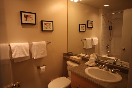 Bathroom with Shower