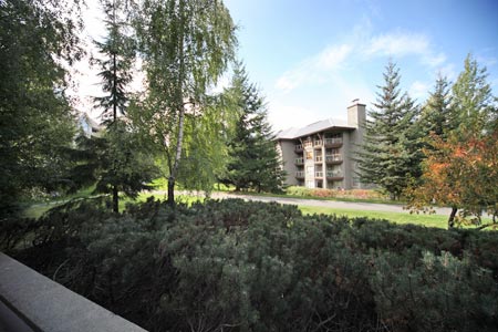 View from Patio