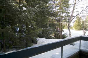 View from Patio