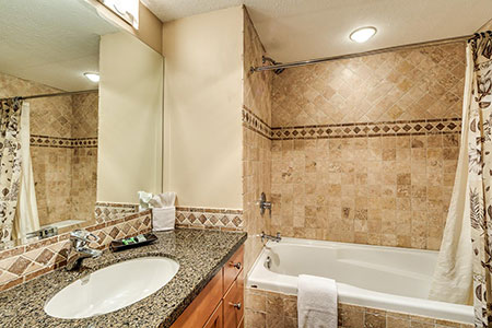 Master Bathroom - Ensuite