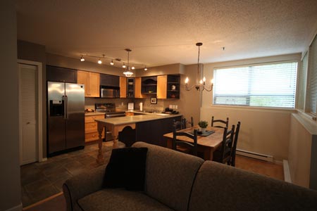 Dining and Kitchen Area