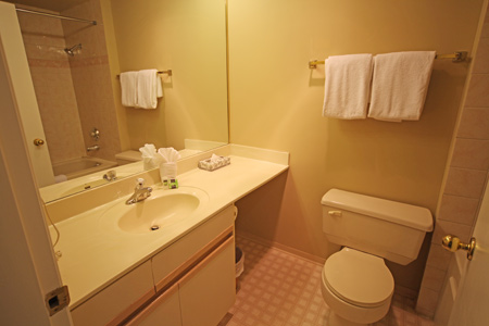 Master Bathroom - Ensuite