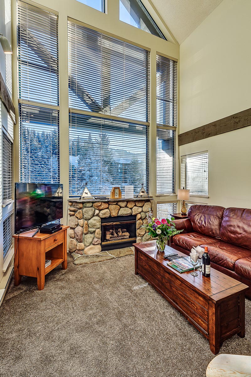 Living Room showing vaulted ceiling