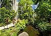 Honolulu Condominium rental - Exterior Photo - Gardens