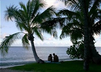 Kahala Beach 328 - 6
