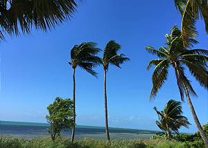 Vibe in Paradise Key West B217