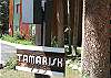 Tamarisk 203