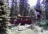 Snow Nest Vacation Rental