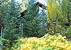 Jean's Cabin- Nightly and Weekly Vacation Rental anytime of year!