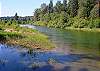 Private 5 Acre Retreat on the Yakima River!  3BR & 2BA, Great Fishing!
