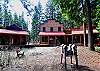 Unique Riverside Escape nestled on 5 acres with 4BR and 3.5BA!