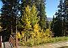 2 Bedroom-Loft - Wildernest - Clubhouse Access .3 Level Large Unit Overlooks 