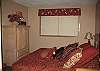 1 Bedroom - Lake View