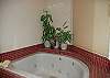 Large Jetted Tub in 2nd Bath