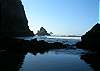 Another lovely picture of the beauty that surrounds you on Arch Cape beach!