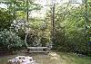 Tucked among the native foliage and flowering mountain laurels which bloom June to July.