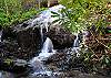 By day enjoy a nature hike to nearby Fleetwood Falls.