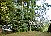 Tucked among the flowering mountain laurels which bloom in June - July.