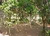 Edisto Beach House rental - Exterior Photo - Exterior