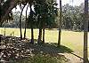 Edisto Beach House rental - Exterior Photo - View of Golf Course