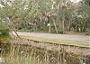 Edisto Beach House rental - Exterior Photo - View