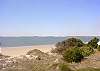 Edisto Beach House rental - Exterior Photo - View of Beach 1
