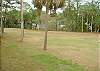 Edisto Beach House rental - Exterior Photo - Exterior