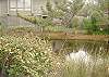 Edisto Beach House rental - Exterior Photo - View