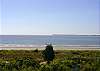 Edisto Beach House rental - Exterior Photo - View of Beach 2