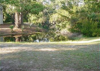 Edisto Beach House rental - Exterior Photo - View from House