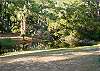 Edisto Beach House rental - Exterior Photo - View from House
