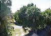 Edisto Beach House rental - Exterior Photo - View from House