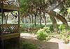 Edisto Beach House rental - Exterior Photo - Exterior
