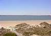 Edisto Beach House rental - Exterior Photo - View of Beach 4