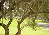 Edisto Beach House rental - Exterior Photo