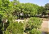 Edisto Beach House rental - Exterior Photo - Exterior