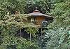 WHISPERING WATERS II #503 Gatlinburg Cabin in the mountains