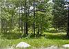 BRUNDAGE MEADOW 16