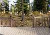 View from back deck