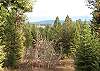 wooded setting