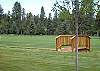 back yard and golf course view