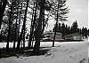 LARGE HOME ON ACREAGE WITH PINE TREES AND MOUNTAIN VIEWS