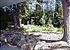 View from back covered deck area offering privacy and wooded views